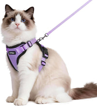 rabbitgoo Cat Harness and Leash Set, Escape Proof Vest - M / Light Purple