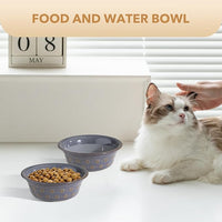 5.5inch Ceramic Set of 2 Dog and Cat Bowls, 2pcs Basic Food and Water Dishes for Puppy, Kitty, Wide Opening Rounded Edge (2 Bowls, Reactived Glaze -Grey)