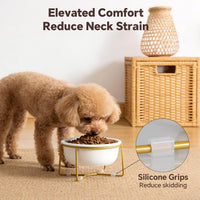 Small Glass Tilted Elevated Cat Dog Bowl Raised Cat Food Water Bowl - Small / White-Flat - image 4