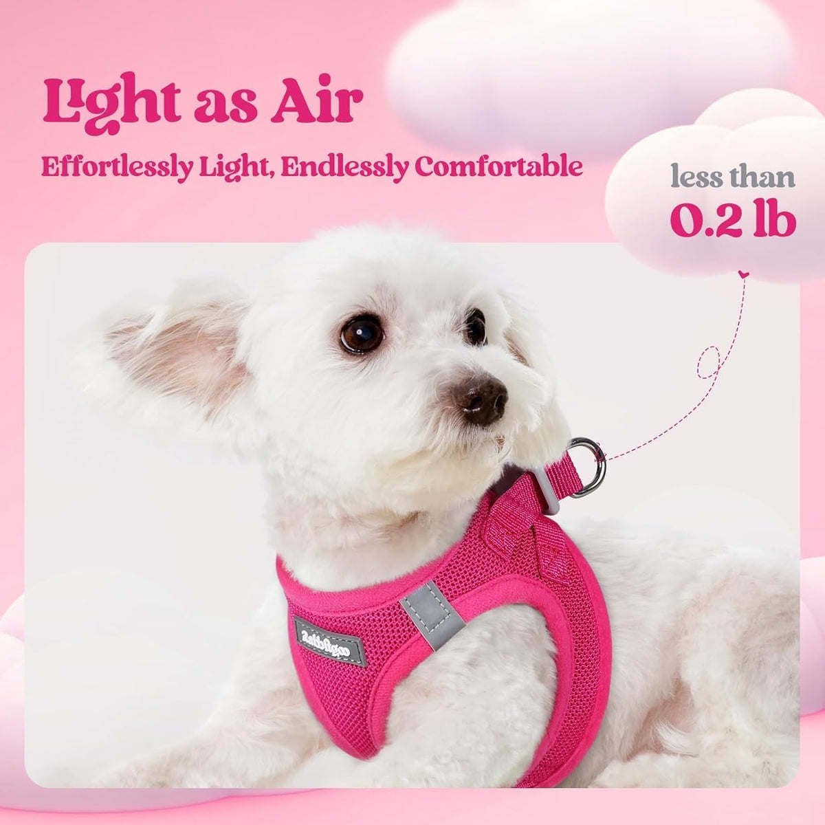 rabbitgoo Dog Harness Small Sized and Leash Set - Rose Red / S (chest: 15.1 - 16.5") - image 3