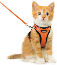 Cat Harness and Leash Set, Adjustable and Escape Proof - Orange / Xxs - image 4