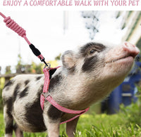 YeeBeny Mini Pig Harness Adjustable with Leash Foam Handle Pink - Pink / M - image 4