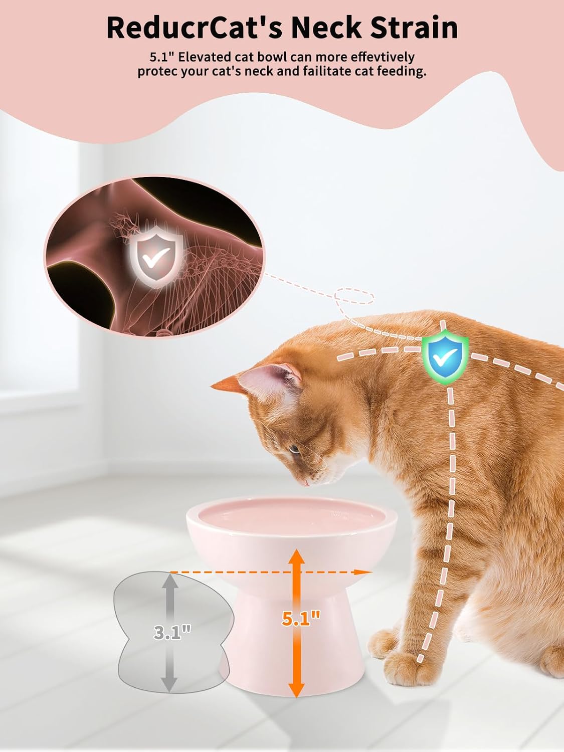 Elevated Cat Food and Water Bowls Set - Single (Water Bowl) / Pink - image 3