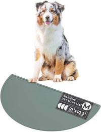 Silicone Dog Food Mat, Pet Placemat, 21" x 10.5" Deep - Spruce / Medium