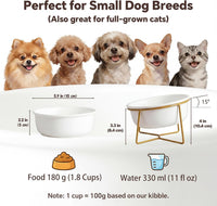 Small Glass Tilted Elevated Cat Dog Bowl Raised Cat Food Water Bowl - Small / White - image 2
