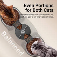 DownyPaws Automatic Cat Feeder 2 Cats - Black - image 3