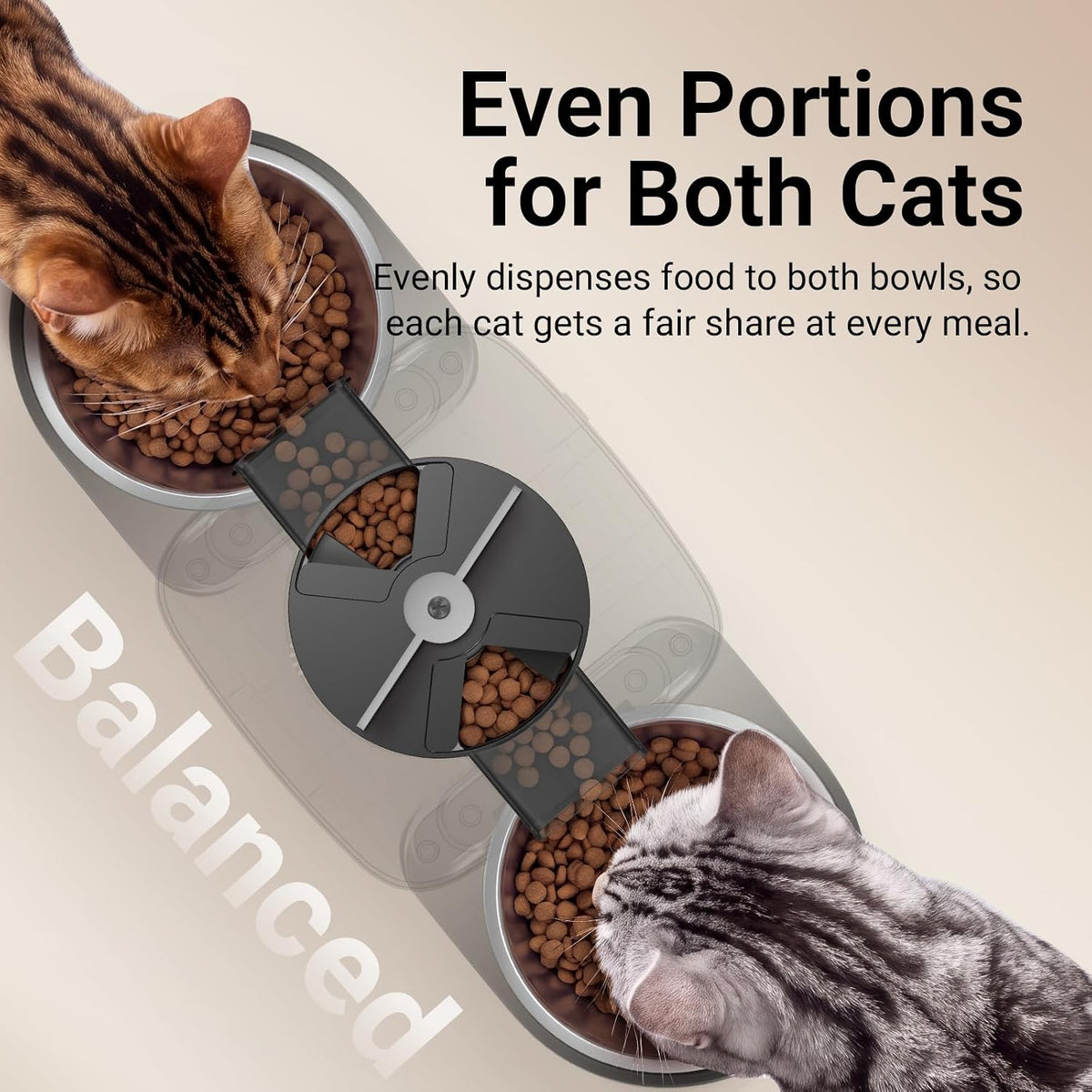 DownyPaws Automatic Cat Feeder 2 Cats - Black - image 3