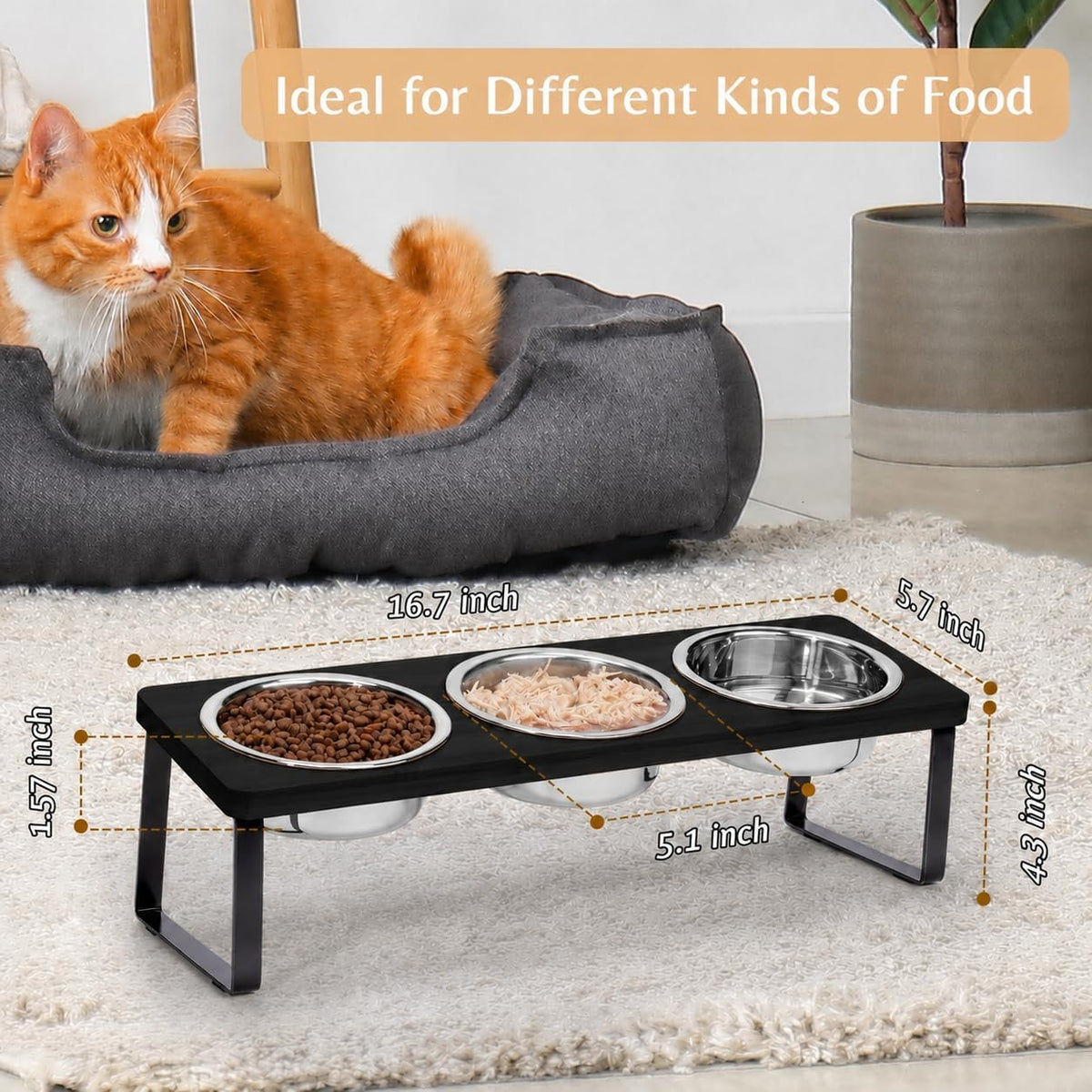 Elevated Cat Food Bowl for Indoor Cats - 3 Bowls / Black - image 4