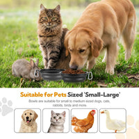 Collapsible Dog Bowl for Travel - Large / Grey+Black - image 2