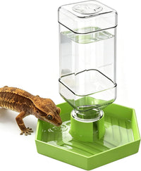 Reptile Water Dispenser Bowl for Bearded Dragon Tortoise – Essentials for Reptiles And Amphibians - Apple Green / S