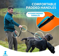Active Pack Hands Free 2 Dogs Leash Medium & Large - Purple / 2 dogs M/L - image 4