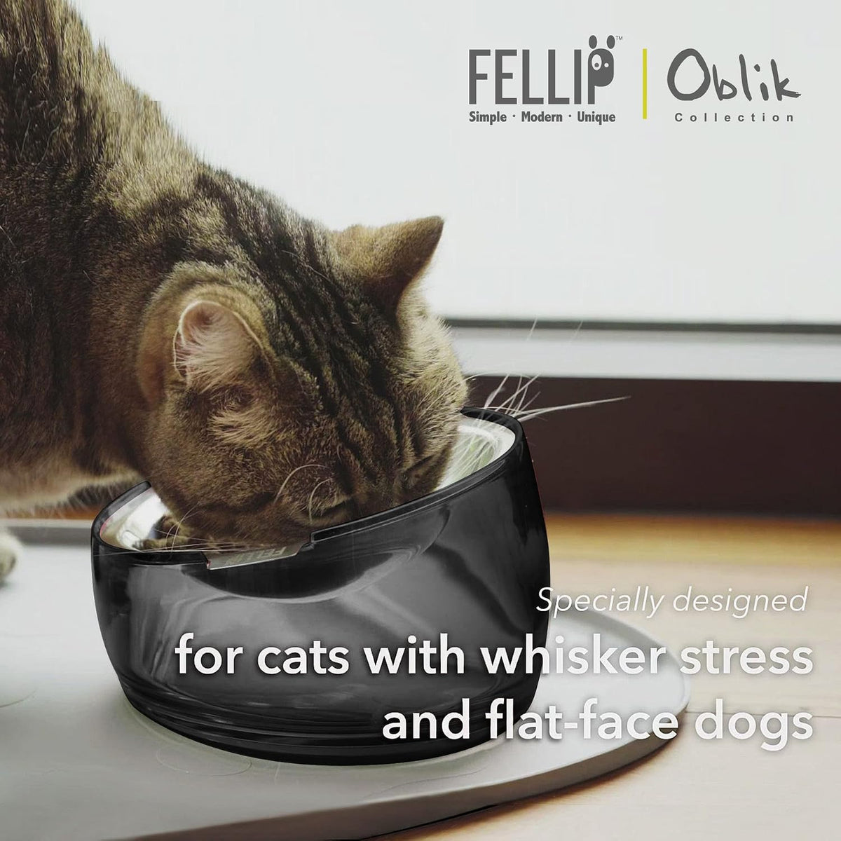 Felli Pet Oblik Acrylic Raised Dog Food Water Bowl Stainless Steel - Smoky / 0.5 Cups Shallow Dish - image 2