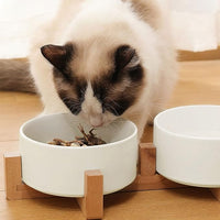 Petygooing Dog Bowls,White Ceramic Cat Dog Bowl Set with Wood Stand for Food and Water Feeder, Modern Pet Dish Set for Cats and Small Size Dogs Puppy (13.5OZ/5.1 in)