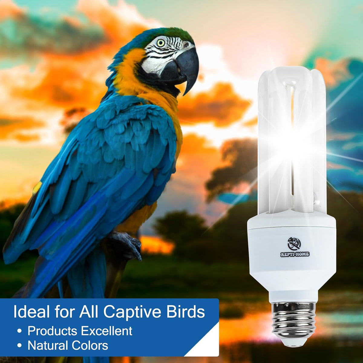 UVA UVB Light Bulb for Birds 2.4 UVB 20W Compact Flourescent Lamp - image 2