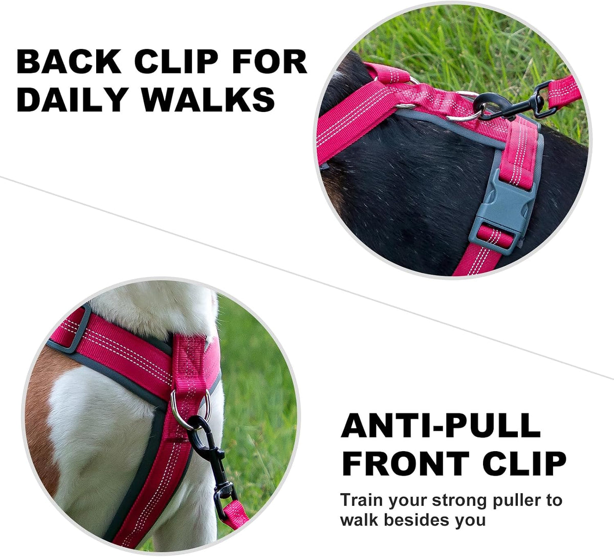 Plutus Pet No Pull Dog Harness - M / Hot Pink - image 4