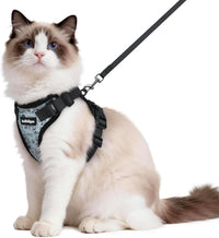 rabbitgoo Cat Harness and Leash Set, Escape Proof Vest - M / Doodle Gray