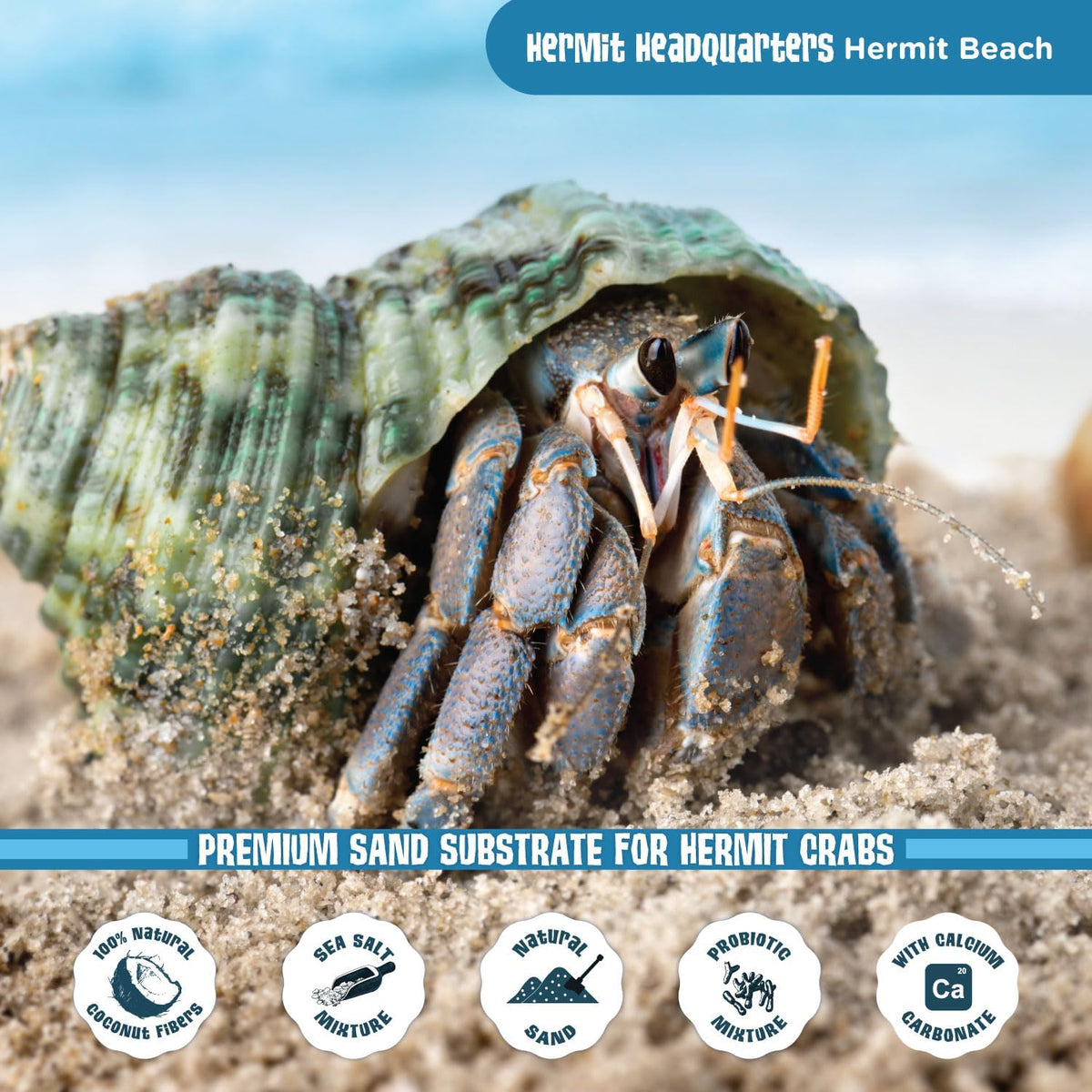 Fluker's All Natural Premium Hermit Crab Sand Substrate - 12 LBS - image 4