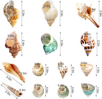 Lucky Baby 15+pcs Hermit Crab Shells Small to Medium Sea Conch Size - image 2
