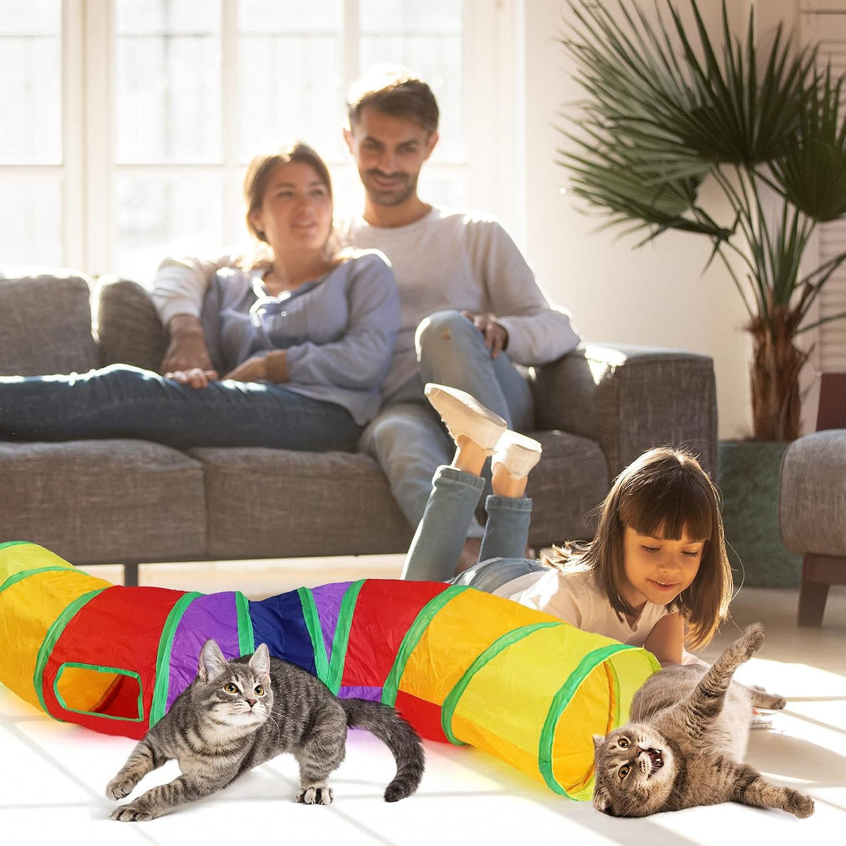 Bemodst Cat Tunnel for Indoor Cats - Rainbow-2 Way - image 3