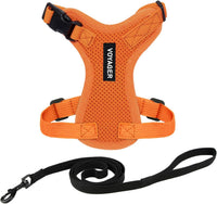 Voyager Escape-Proof Step-in Harness & Leash, Moss Green - Orange / XXS (Chest: 11.5 - 14")