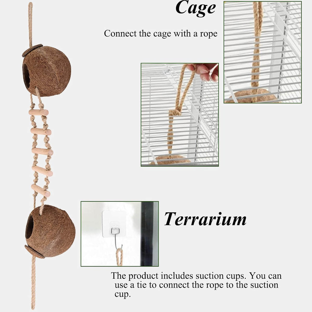 HERCOCCI Gecko Tank Accessories - Double - image 4