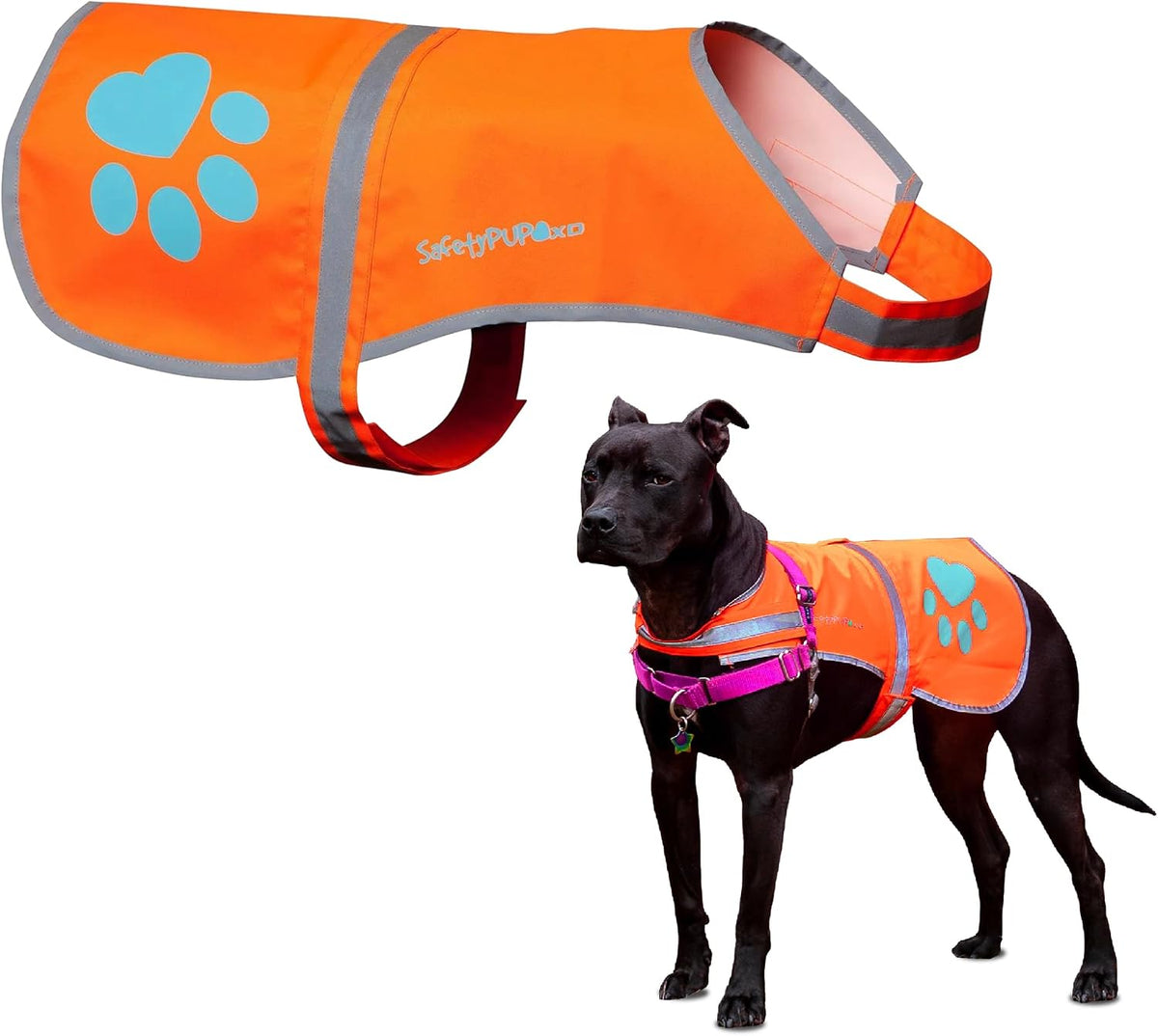 Blaze Orange Dog Vest. Reflective High Visibility in Hunting & Wooded - Orange / Medium