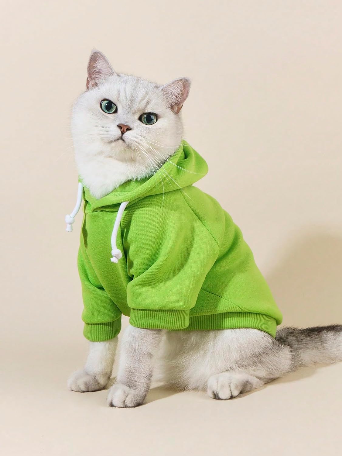 Basic Dog Hoodie Sweatshirt Puppy Sweater Warm Cat Costumes Pet - X-Small / Green - image 2