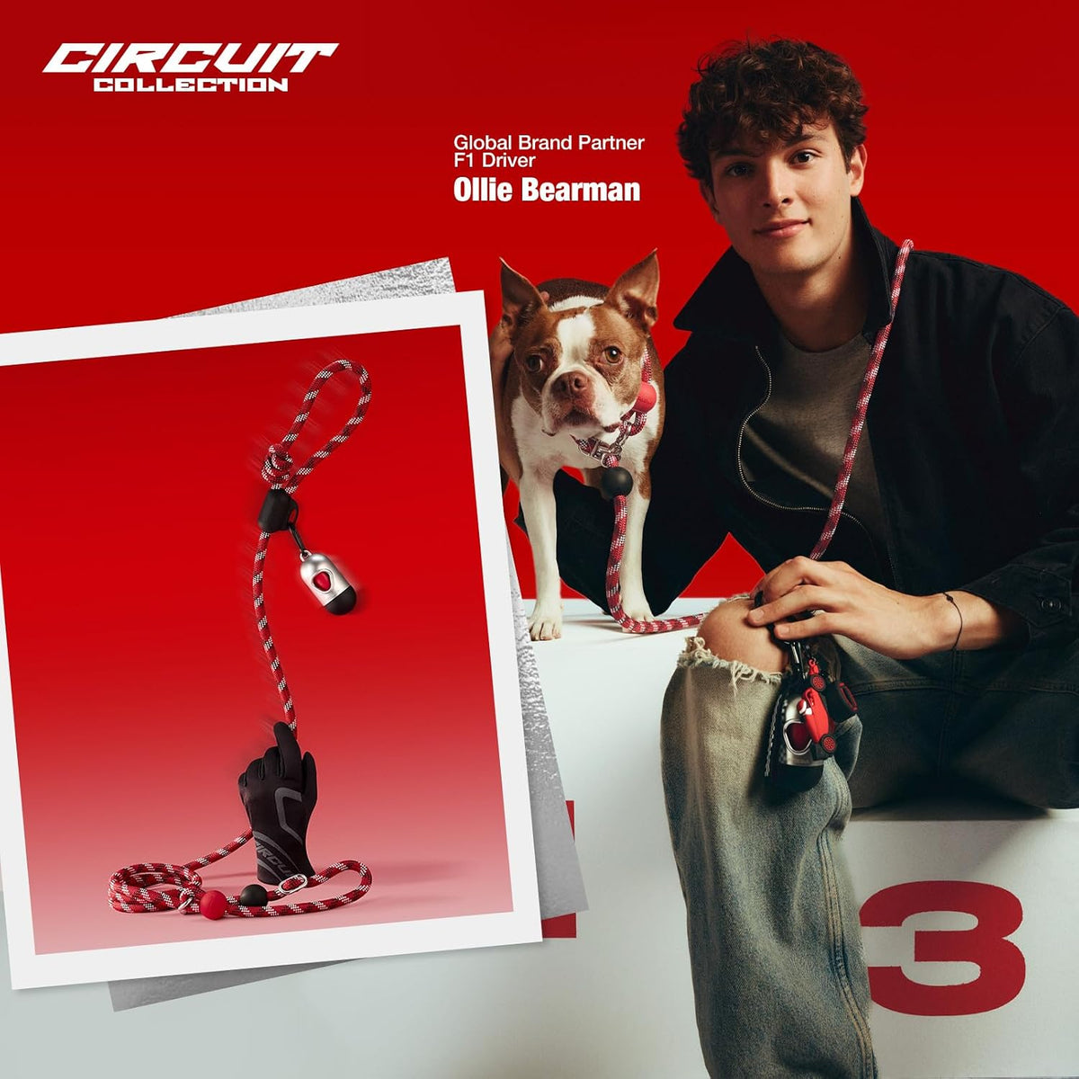 VETRESKA Hands-Free Dog Leash - Circuit Red - image 2