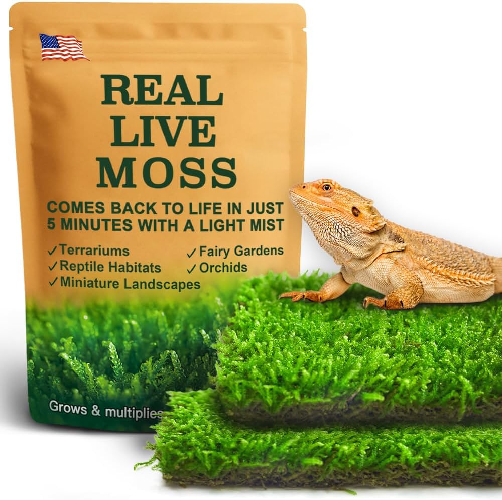 Live Moss for Terrarium Bedding & Reptile Enclosures – Daily Care for Reptiles And Amphibians