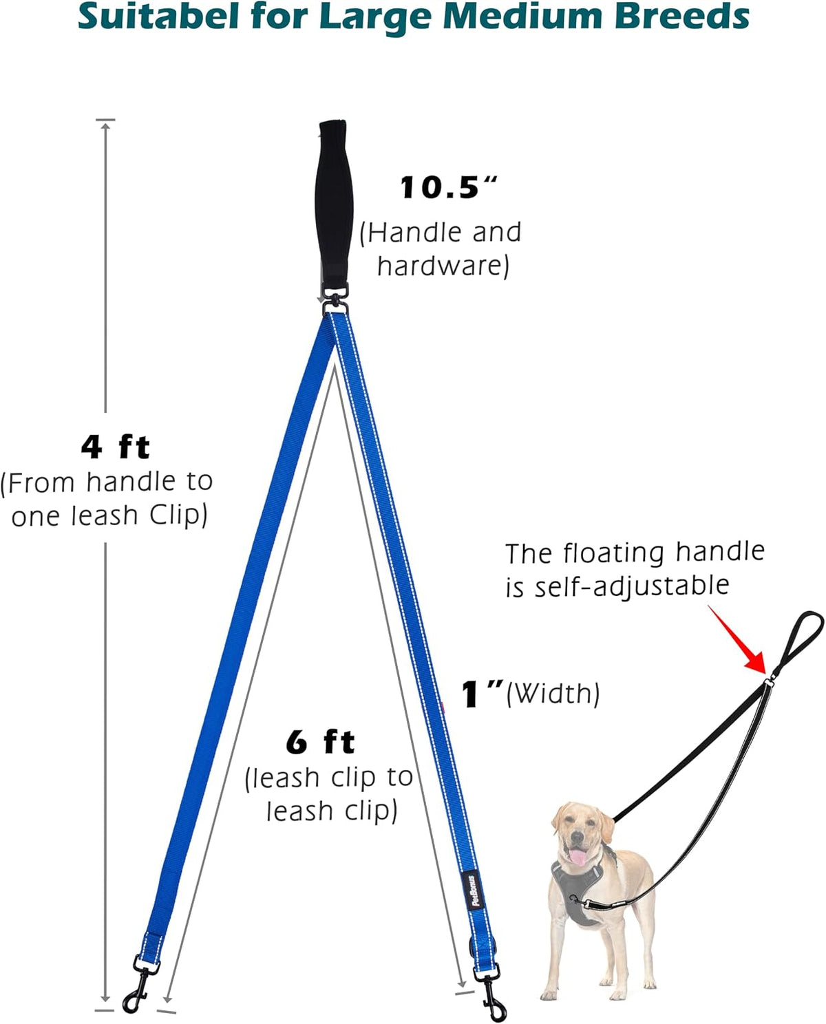 Two Point Control Dog Leash, No Tangle Training Walking Leashes – Essentials for Dogs - Blue - image 4