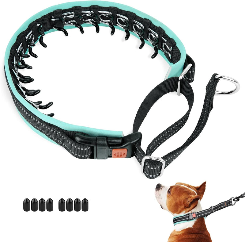 Martingale Dog Collar No Pull, M, Neck Cir 14.5"-18.5" - Black(Teal Trim) / Large,2.5mm,18.5"-23.5"Neck