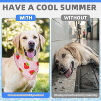 KOOLTAIL Dog Cooling Bandana - Strawberries+Duck / Neck Girth(12-20in) - image 2