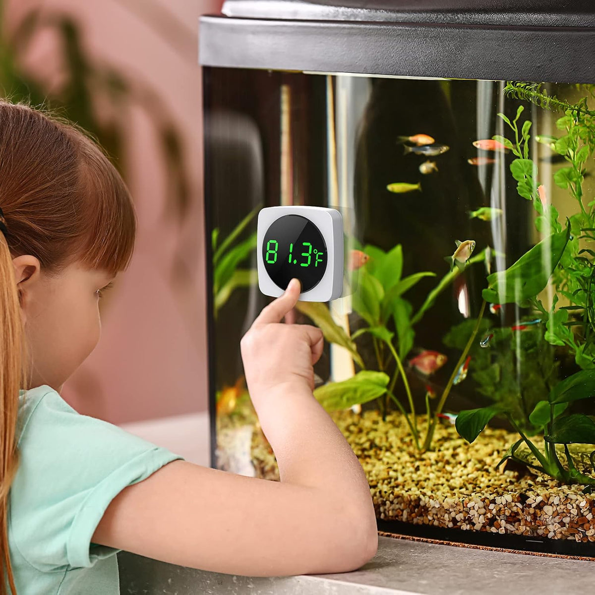 PAIZOO Aquarium Thermometer, LED Digital Fish Tank Thermometer - image 2