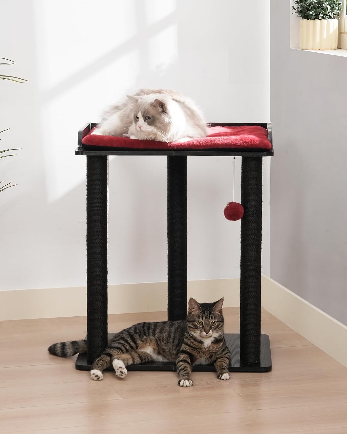 Modern Cat Tree for Large Cats, Full Sisal Cat Scratching Post – Essentials for Cats - Black&Red / 22"L x 15.7"W x 26.7"H - image 3
