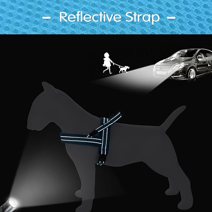 Didog No Pull Dog Harness with Soft Mesh Padded,Reflective & Quick Fit Light Weight Dog Strap Vest Harness,Easy for Walking Training (XS:Chest 15-18", Mesh-Blue)