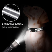 Martingale Collar for Dogs, Reflective Escape Proof, M - Sliver / Large - image 3