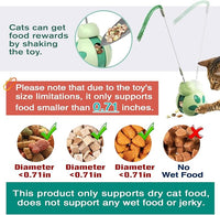 Cat Treat Interactive Toy, Indoor Puzzle Slow Feeding Mental Stimulation Sliding Rolling Cat Toy Ball with Cat Teaser, Cat Treat Dispenser Toy for Large, Medium and Small Cats (Green, ladybug)