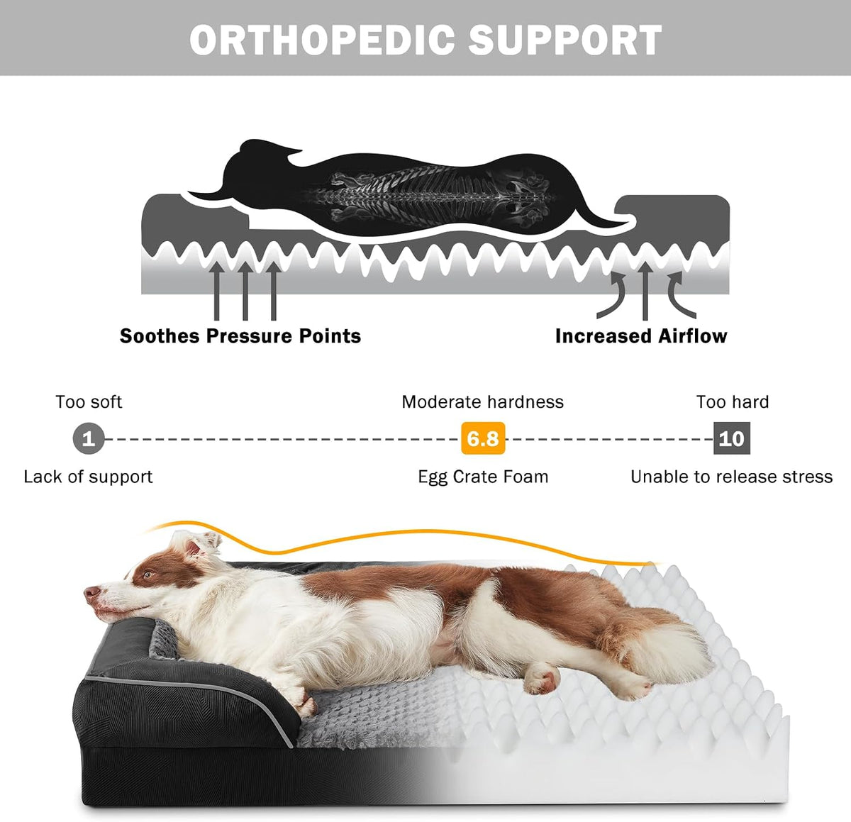 Orthopedic Dog Beds Large Sized - Black / M (28"x 23"x 6.5") - image 2