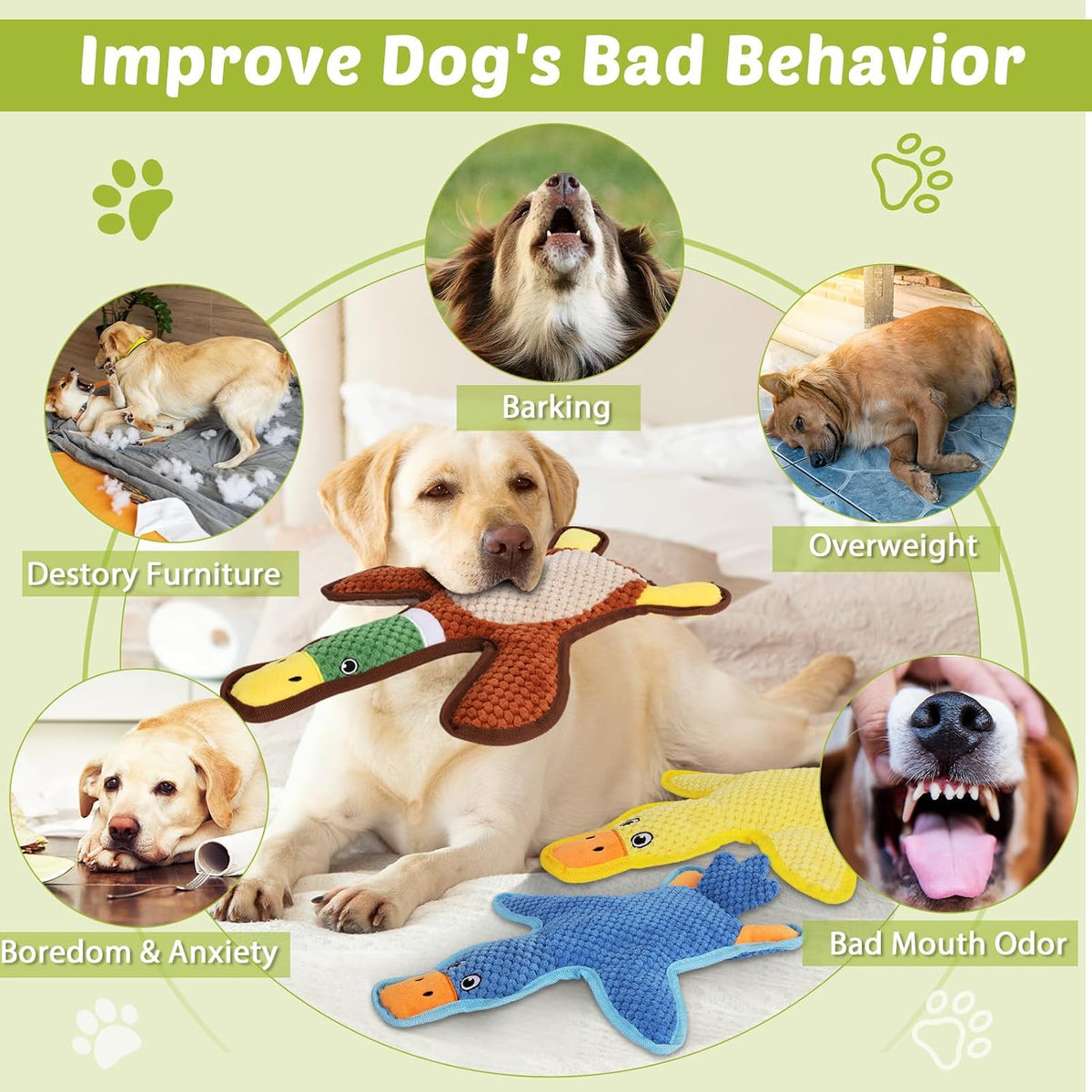Dog Toys 3-Pack Cute Duck Shapes Puppy Toys No-Stuffing Squeaky - Multicolor / Duck Set - image 4