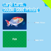 SpriteGru 50 double-sided verb flashcards with action pictures - view 17