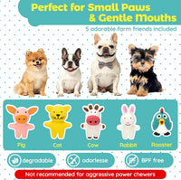 LECHONG 5 Pack Latex Dog Toys for Small Dogs - image 2