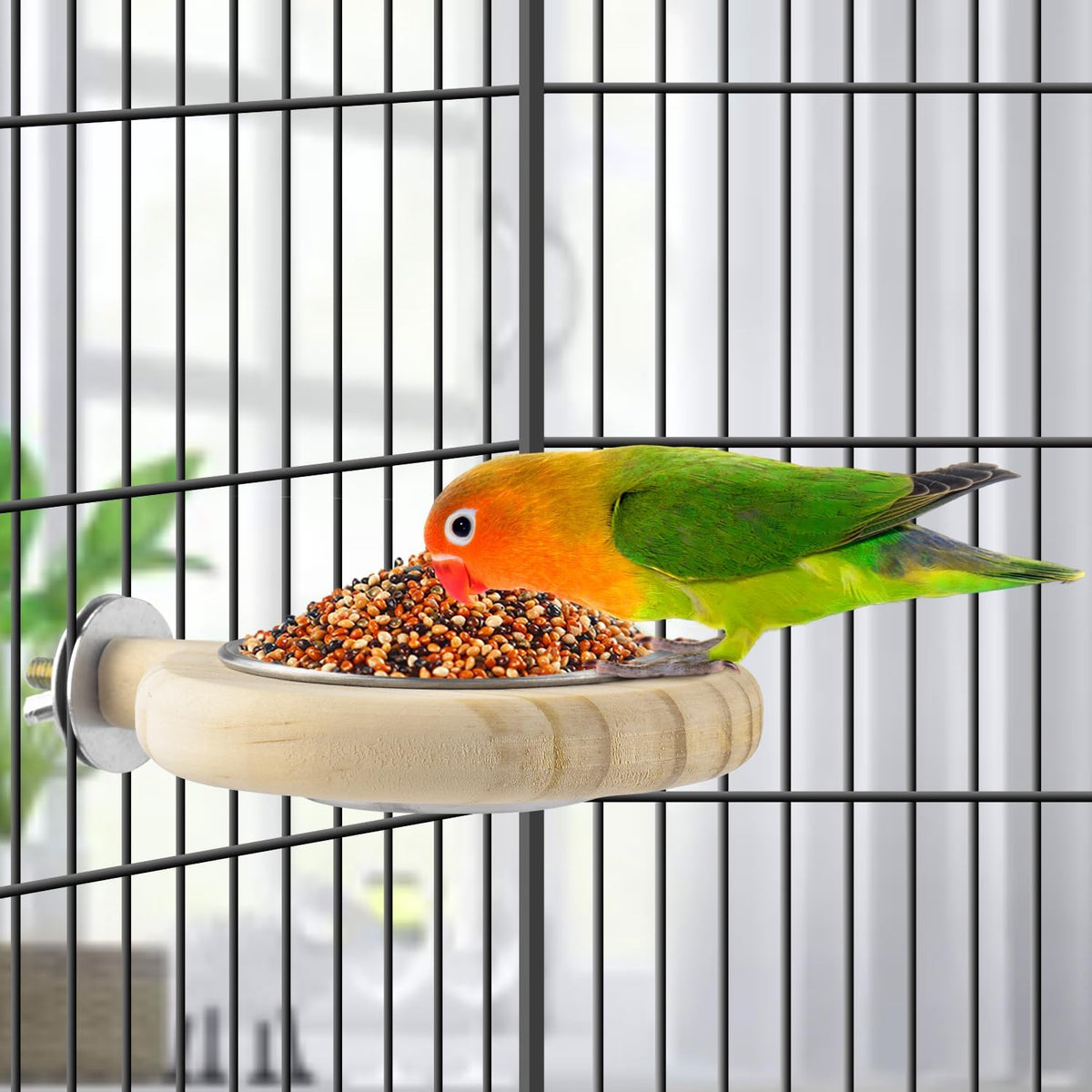 KATUMO Bird Perch Bird Feeding Cup Parrot Wood Perch Stand Toy Bird - S Perch - image 4