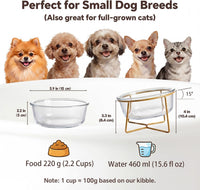 Small Glass Tilted Elevated Cat Dog Bowl Raised Cat Food Water Bowl - Small / Glass - image 2