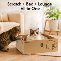 Cardboard Cat Scratcher Box XL, Indoor Cats Bed - image 2