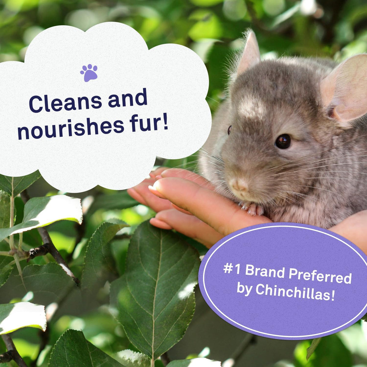 Petpost, Chinchilla Bath Dust for Small Animals, Natural - image 2