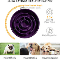 Ceramic Slow Feeder Dog Bowl - Purple - image 4