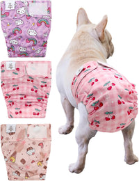 CuteBone Washable Dog Diapers Female No Tail Hole 3 Pack Reusable - For docked-tail, Cherry&rainbow&dessert / S