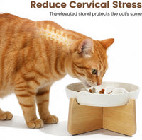 PETTOM Slow Feeder Cat Bowl Elevated Ceramic with Bamboo Stand - Lotus - image 4
