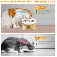 PETTOM Slow Feeder Cat Bowl Elevated Ceramic with Bamboo Stand - White Fish - image 4