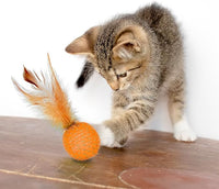 PET SHOW 10 Pack Cat Toys - Woolen Yarn Cat Balls, Interactive Mesh Feather Ball, String Toy for Indoor Cats, Chase Training Activity for Kittens